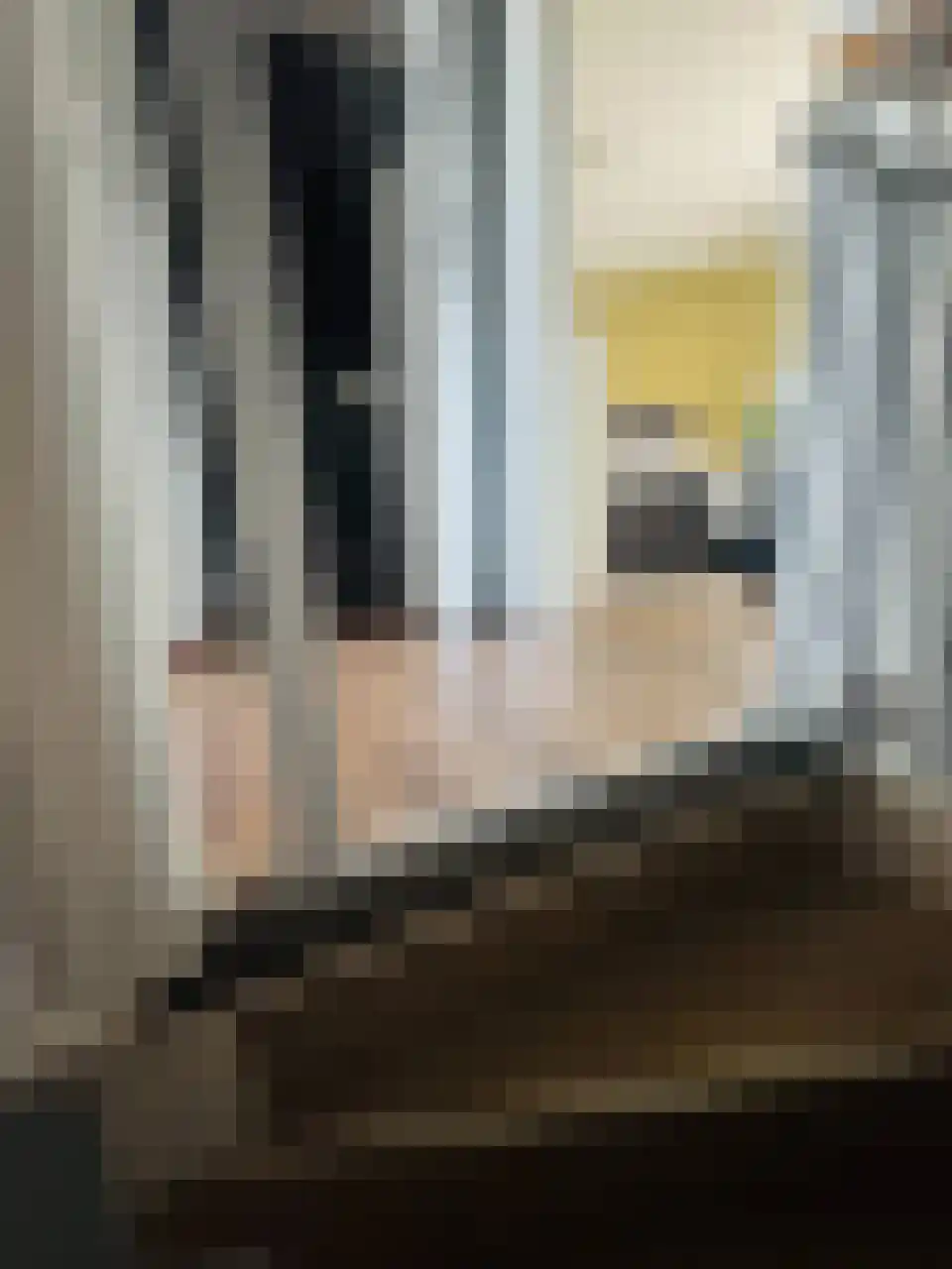 Ariana Nozemanstraat 29 Amsterdam thumbnail 13