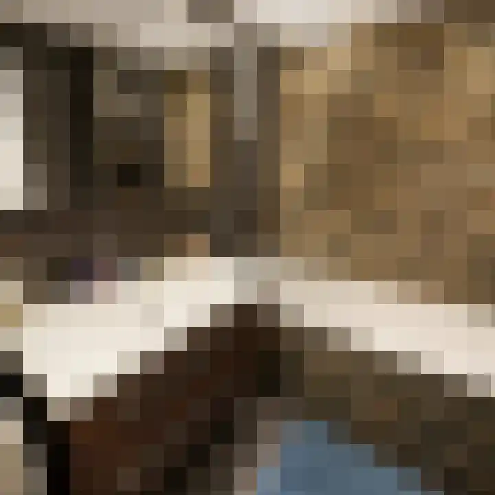 Ariana Nozemanstraat 29 Amsterdam thumbnail 16