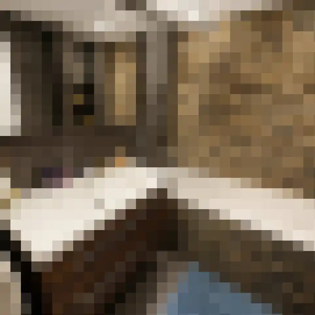 Ariana Nozemanstraat 29 Amsterdam thumbnail 17