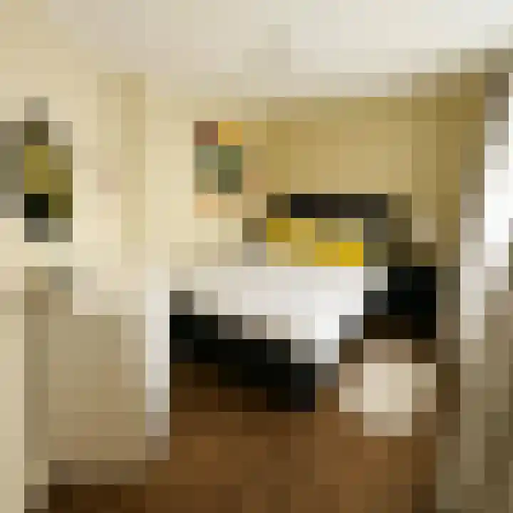 Ariana Nozemanstraat 29 Amsterdam thumbnail 19