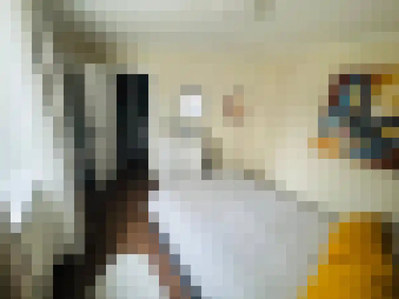 Ariana Nozemanstraat 29 Amsterdam thumbnail 21