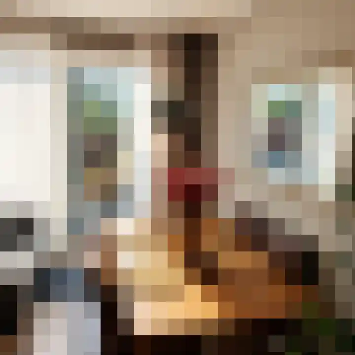 Ariana Nozemanstraat 29 Amsterdam thumbnail 4