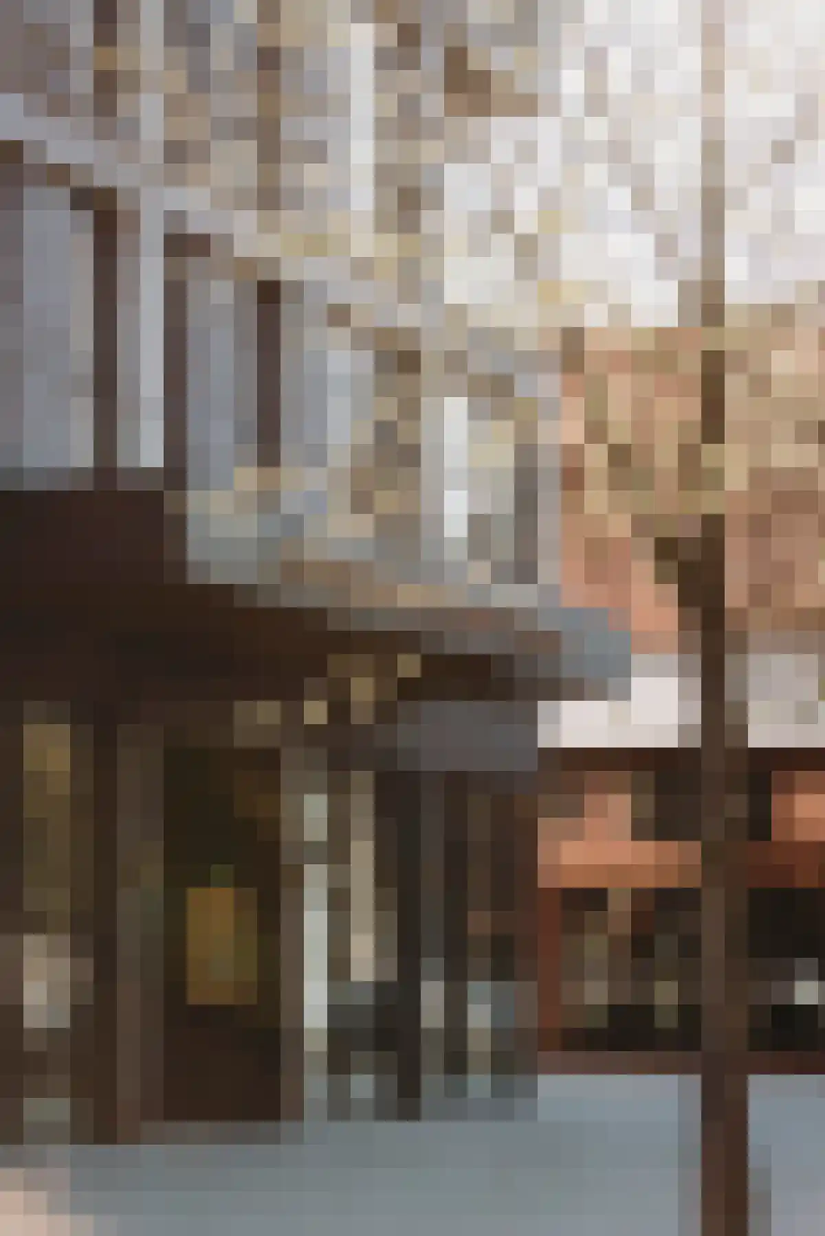 Ariana Nozemanstraat Amsterdam thumbnail 4