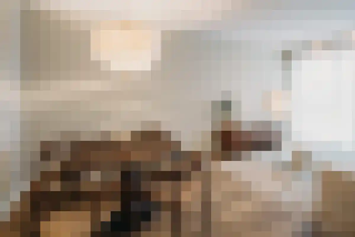 Ariana Nozemanstraat Amsterdam thumbnail 5