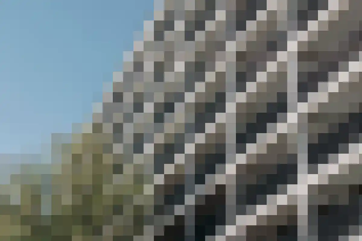 Ariana Nozemanstraat Amsterdam thumbnail 6