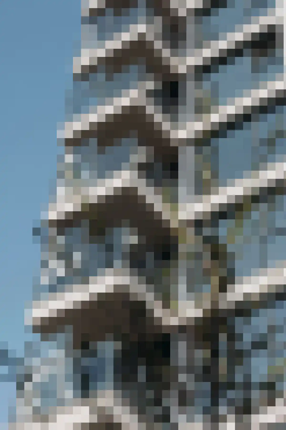 Ariana Nozemanstraat Amsterdam thumbnail 7