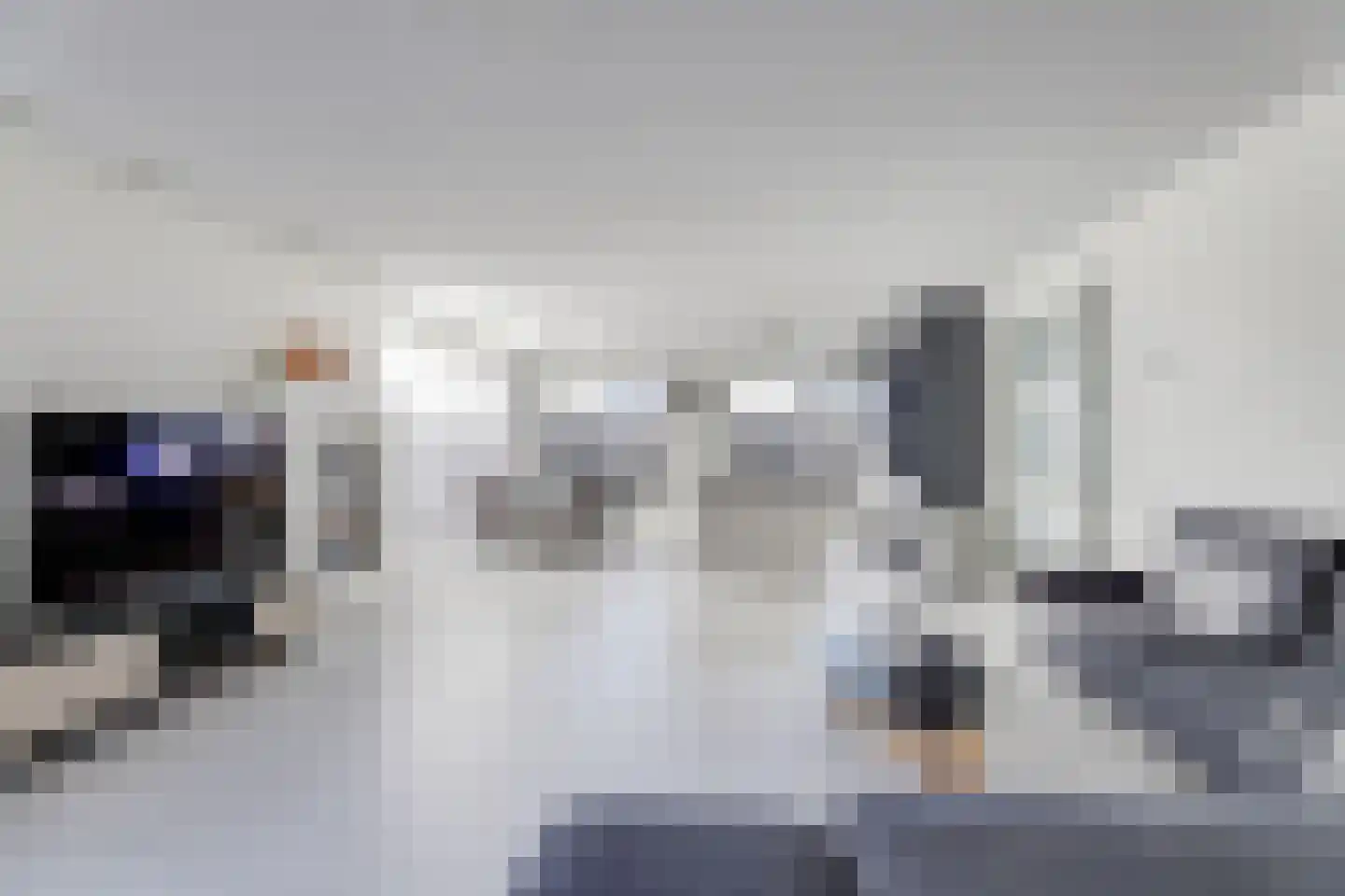 Arianehof 13 Harlingen thumbnail 10