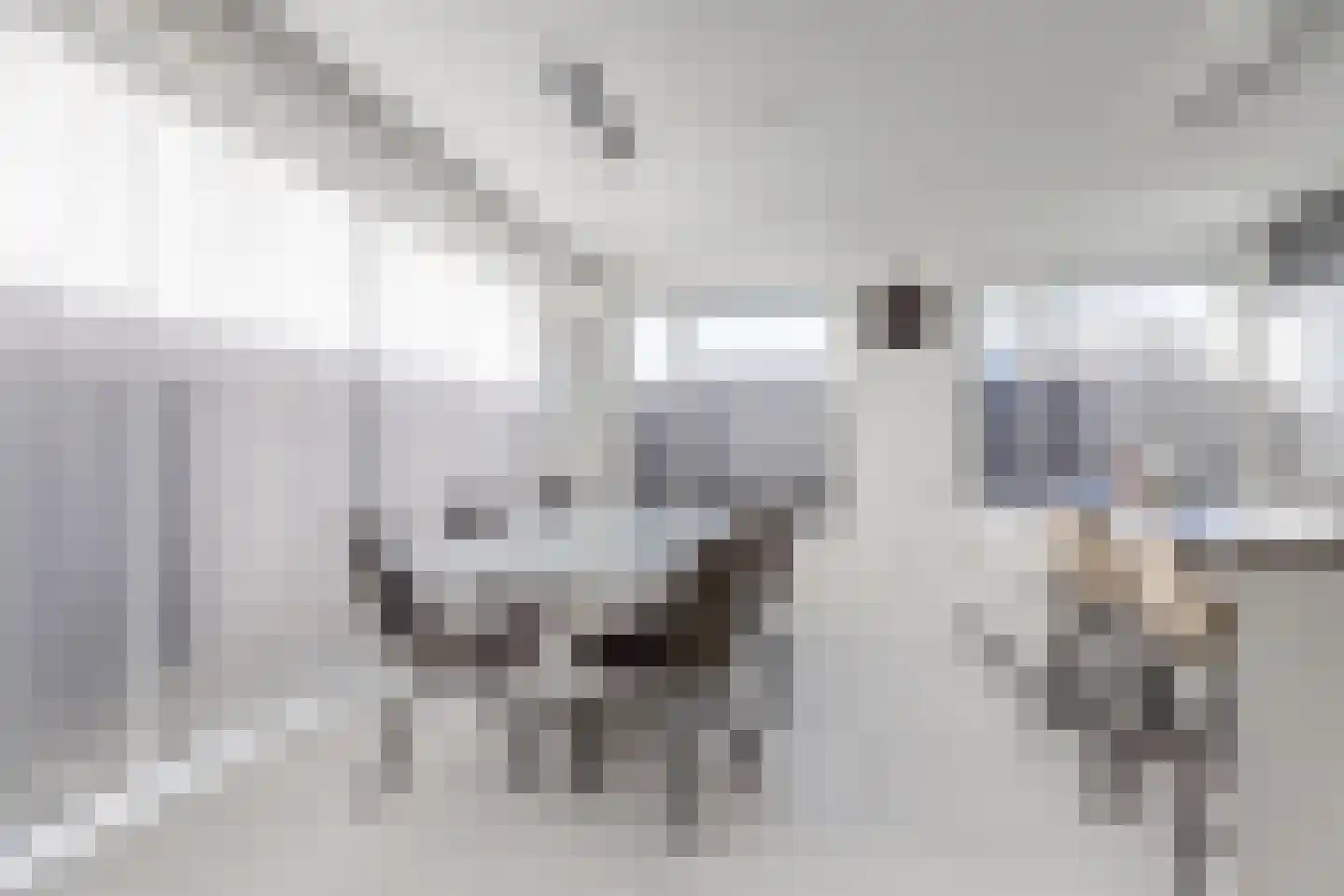 Arianehof 13 Harlingen thumbnail 11