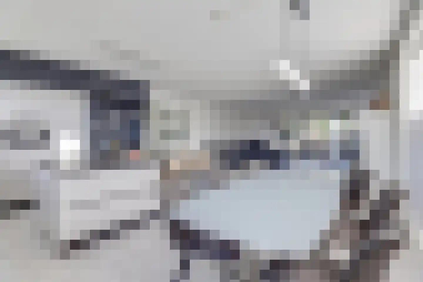 Arianehof 13 Harlingen thumbnail 12