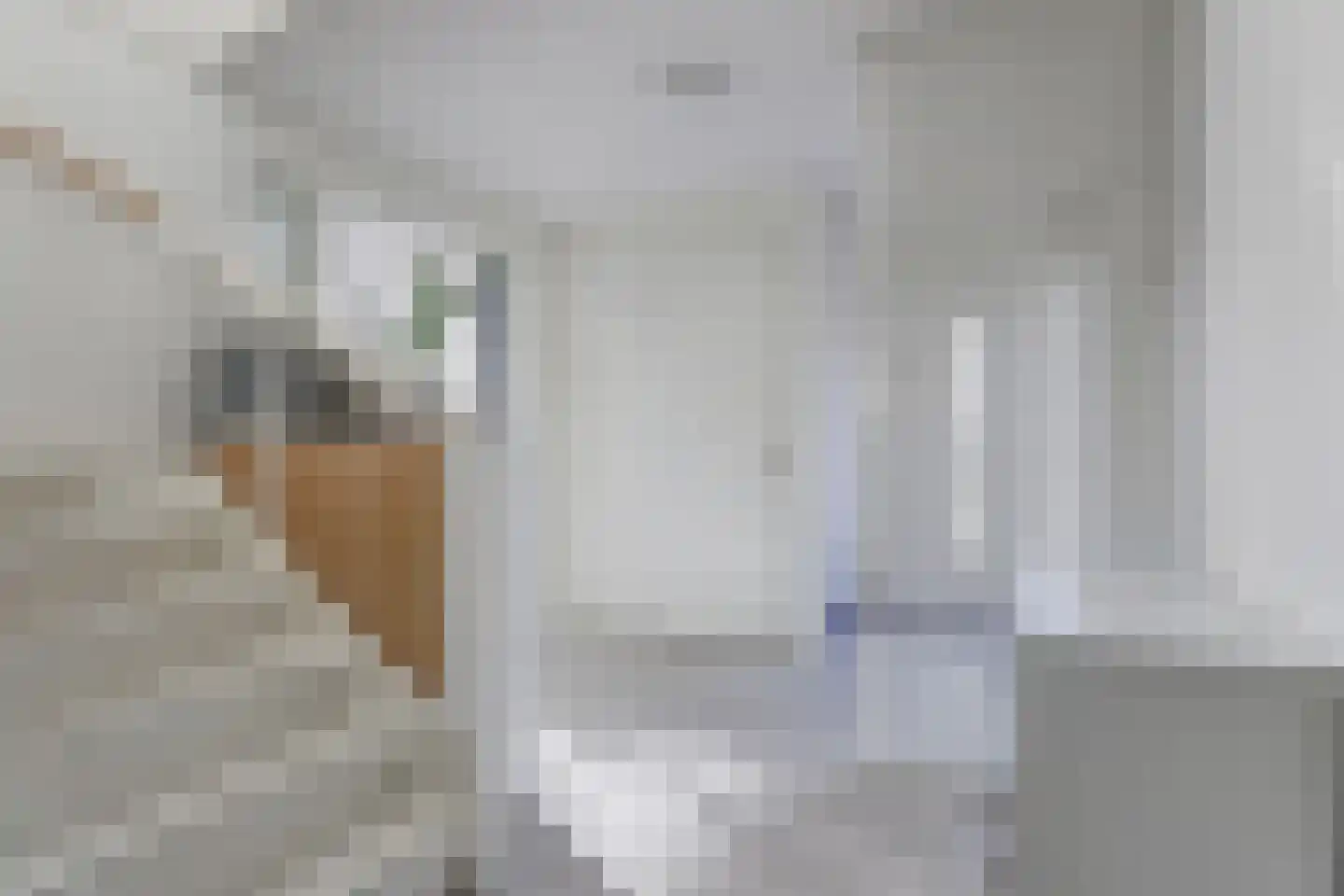 Arianehof 13 Harlingen thumbnail 15