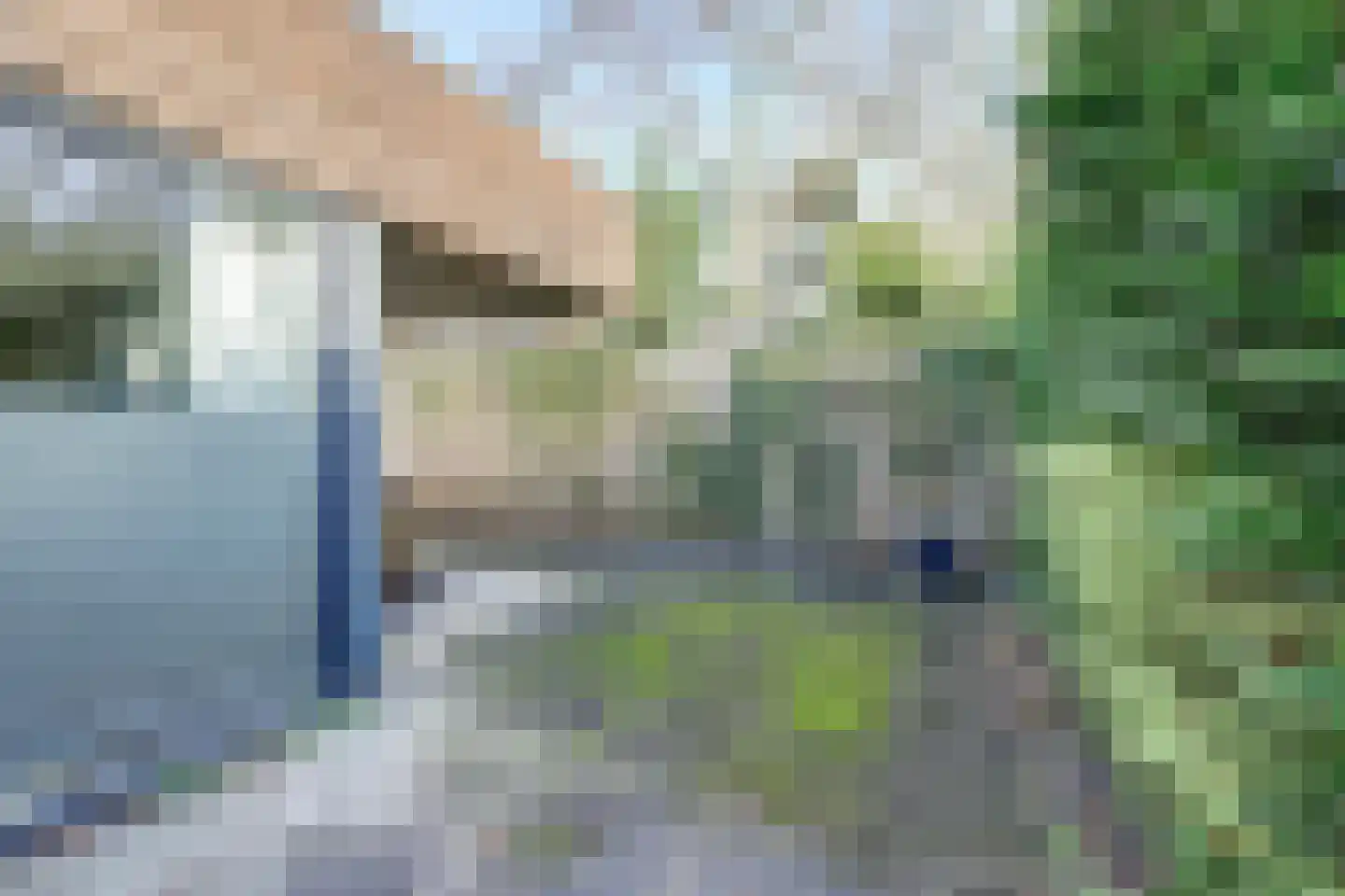 Arianehof 13 Harlingen thumbnail 30