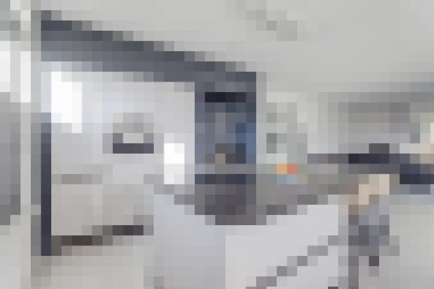 Arianehof 13 Harlingen thumbnail 4