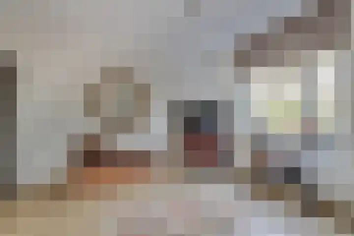 Arianehof 32 Ermelo thumbnail 19