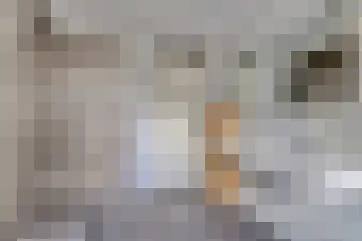 Arianehof 32 Ermelo thumbnail 30