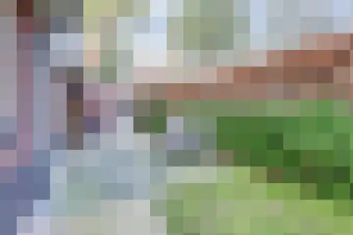 Arianehof 32 Ermelo thumbnail 35