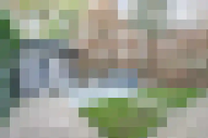 Arianehof 32 Ermelo thumbnail 4