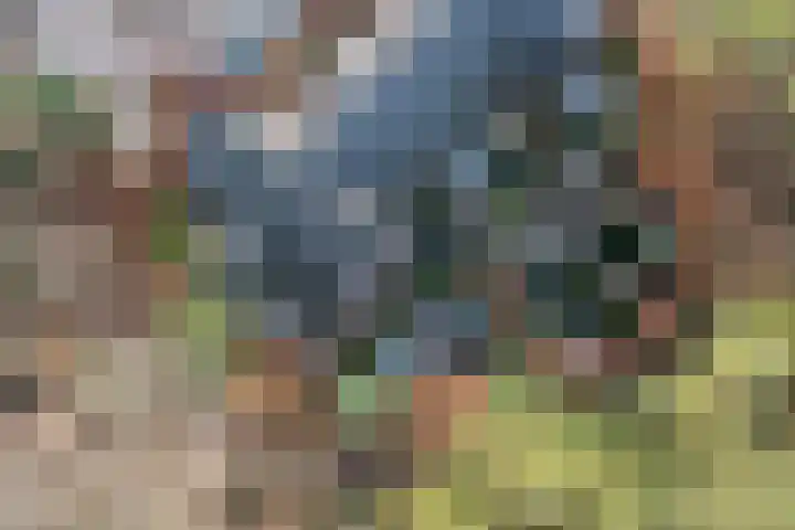 Arianehof 32 Ermelo thumbnail 43