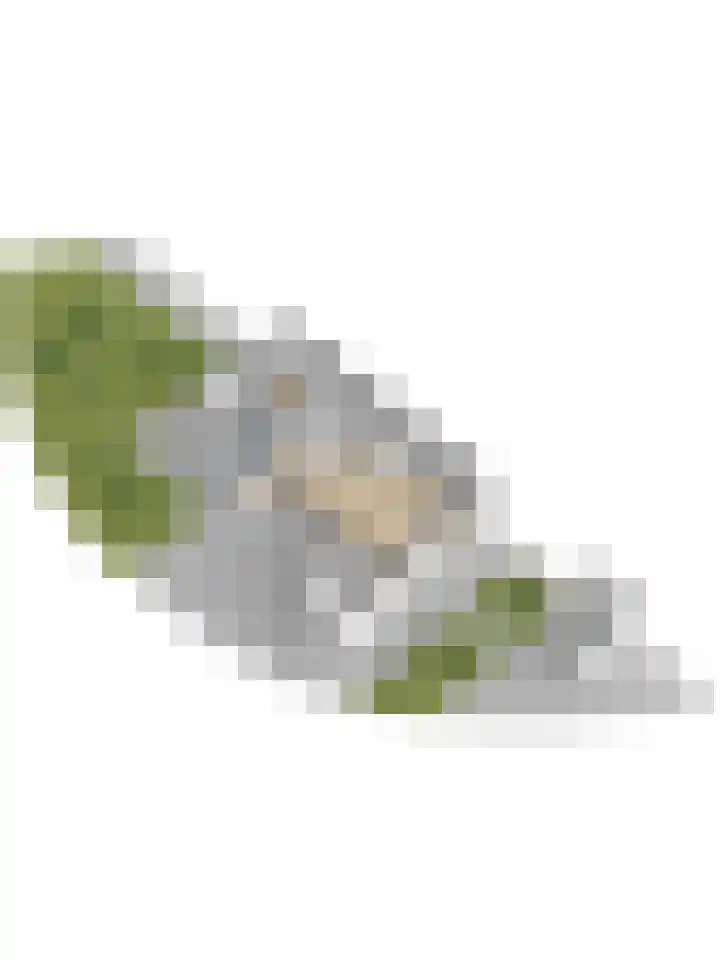 Arianehof 32 Ermelo thumbnail 56