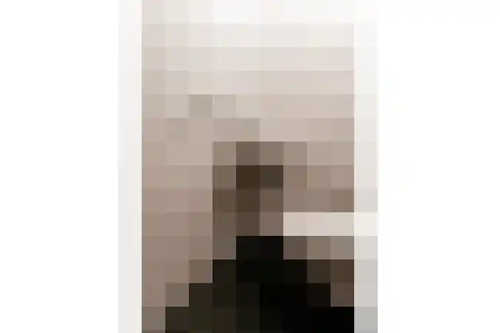 Arianehof 34 Ermelo thumbnail 10