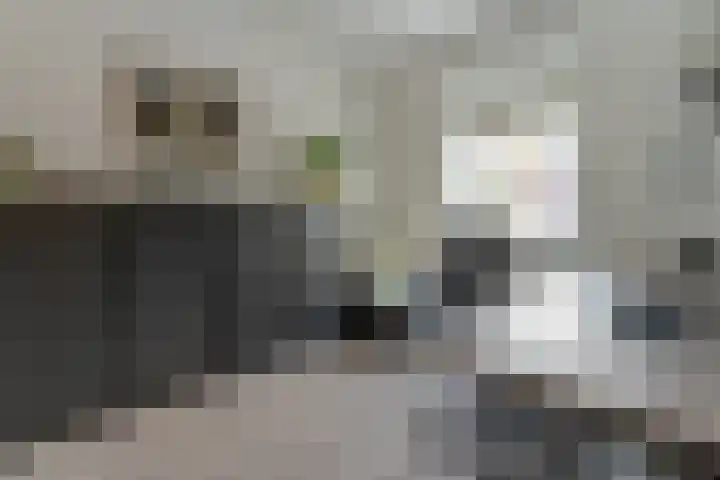 Arianehof 34 Ermelo thumbnail 20