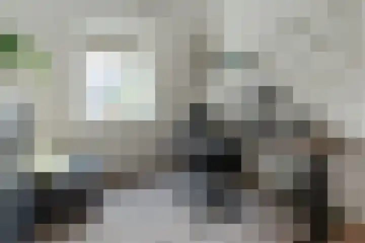 Arianehof 34 Ermelo thumbnail 21