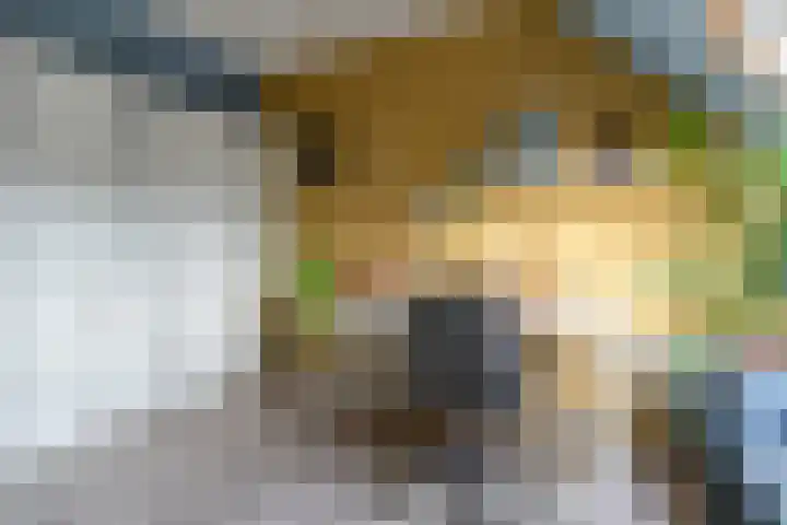 Arianehof 34 Ermelo thumbnail 28
