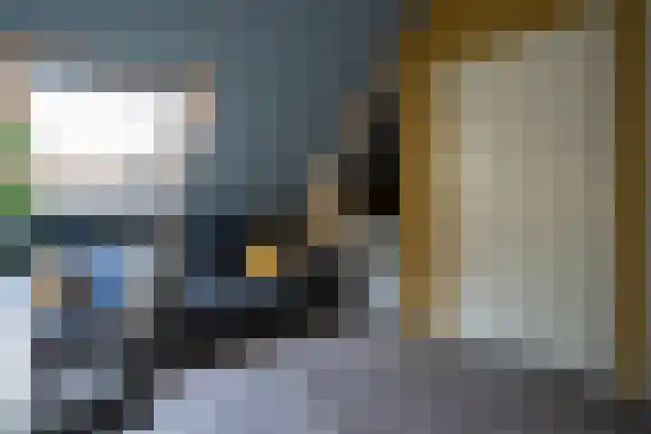 Arianehof 34 Ermelo thumbnail 29