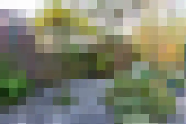 Arianehof 34 Ermelo thumbnail 30