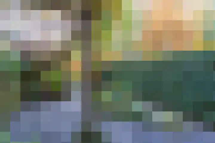 Arianehof 34 Ermelo thumbnail 31