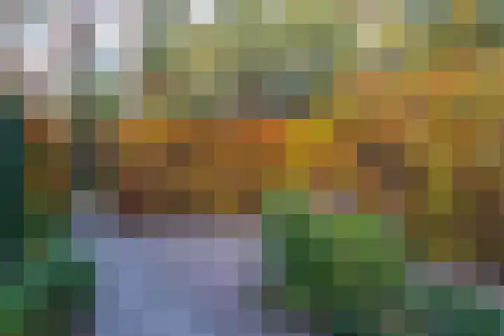 Arianehof 34 Ermelo thumbnail 32