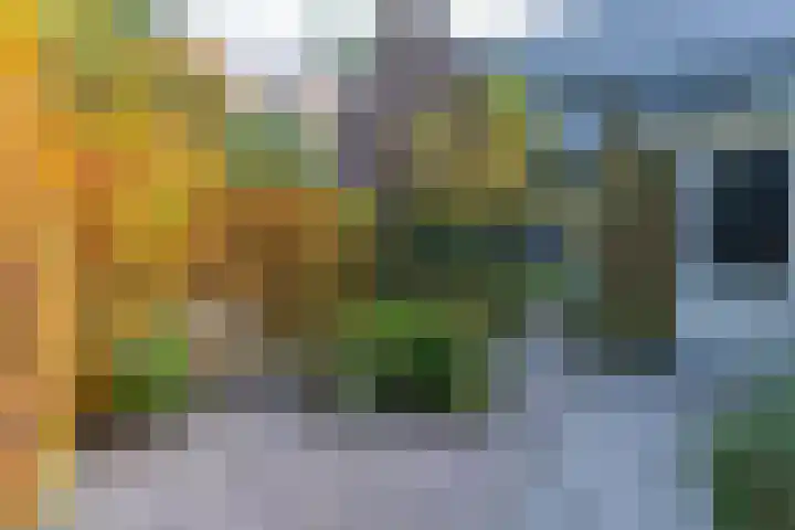 Arianehof 34 Ermelo thumbnail 33