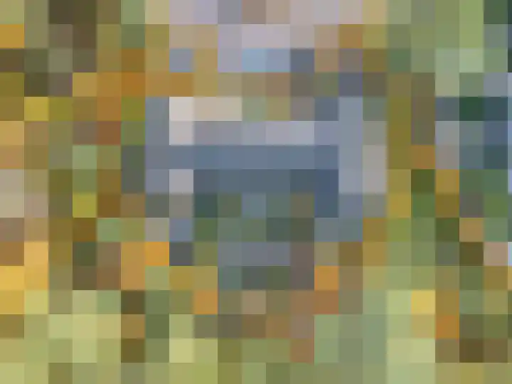 Arianehof 34 Ermelo thumbnail 35