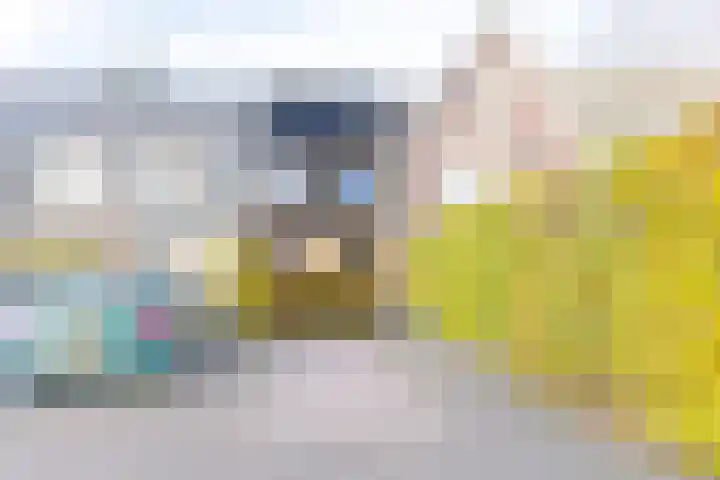 Arianehof 34 Ermelo thumbnail 4