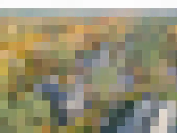 Arianehof 34 Ermelo thumbnail 5