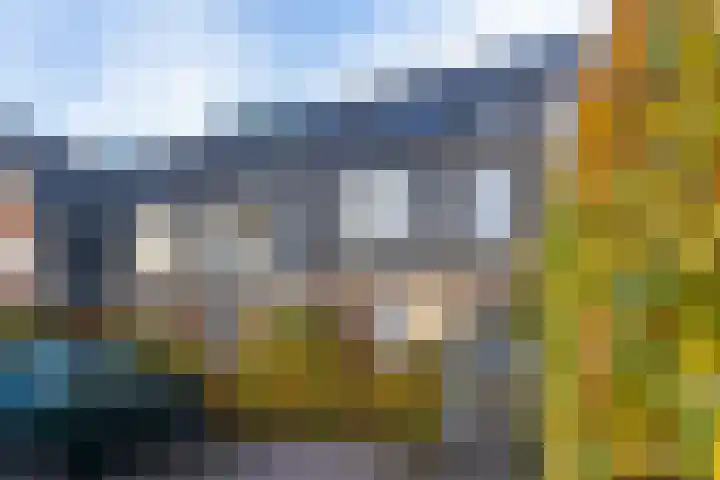 Arianehof 34 Ermelo thumbnail 6