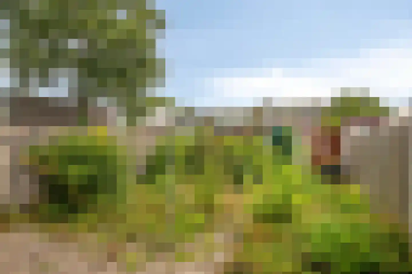 Arianehof 5 IJsselstein thumbnail 22