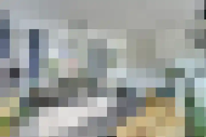 Arianehof 50 Ermelo thumbnail 10