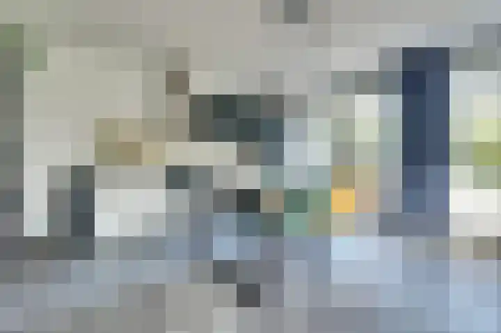 Arianehof 50 Ermelo thumbnail 12