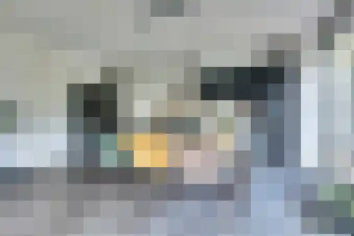 Arianehof 50 Ermelo thumbnail 15