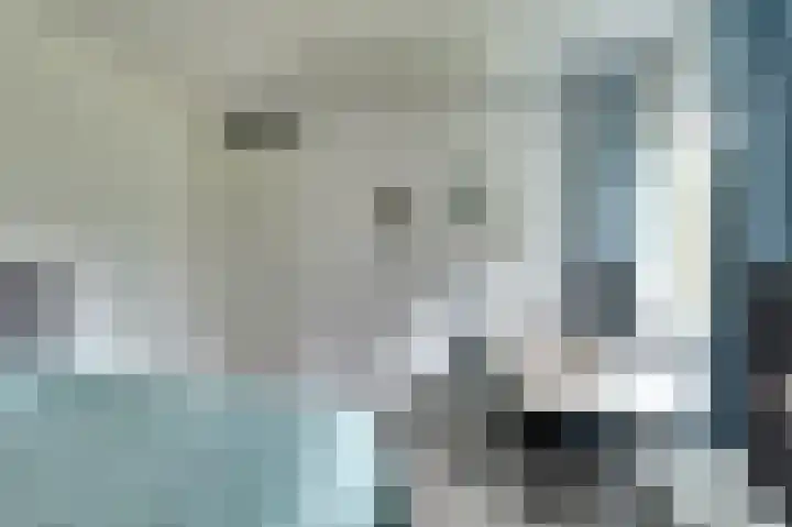 Arianehof 50 Ermelo thumbnail 18