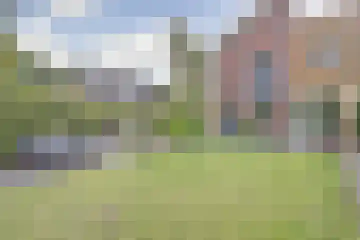 Arianehof 50 Ermelo thumbnail 25