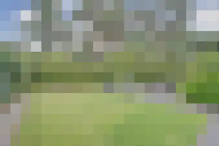 Arianehof 50 Ermelo thumbnail 26