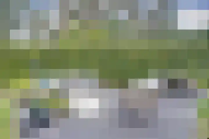 Arianehof 50 Ermelo thumbnail 27