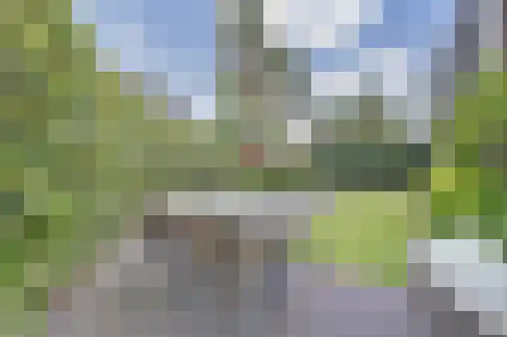 Arianehof 50 Ermelo thumbnail 28