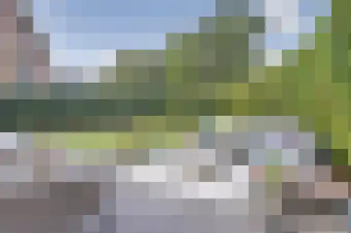 Arianehof 50 Ermelo thumbnail 29