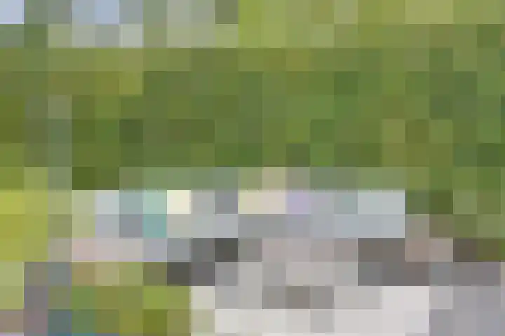 Arianehof 50 Ermelo thumbnail 30
