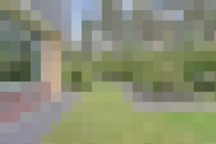 Arianehof 50 Ermelo thumbnail 31