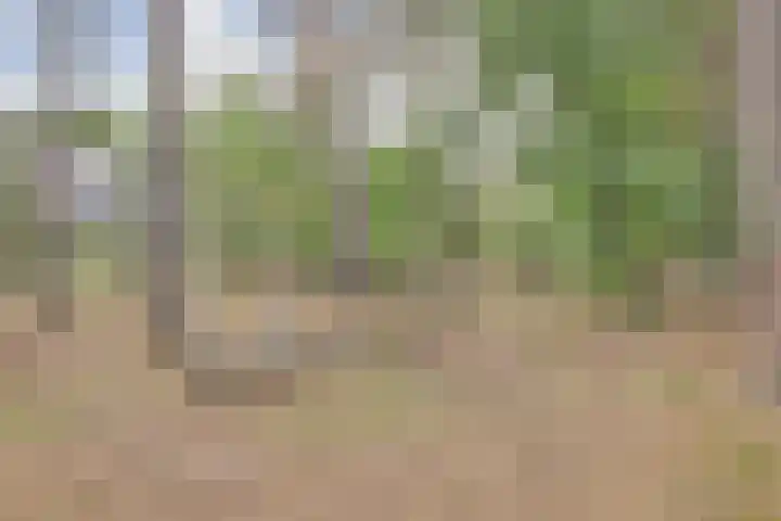 Arianehof 50 Ermelo thumbnail 34