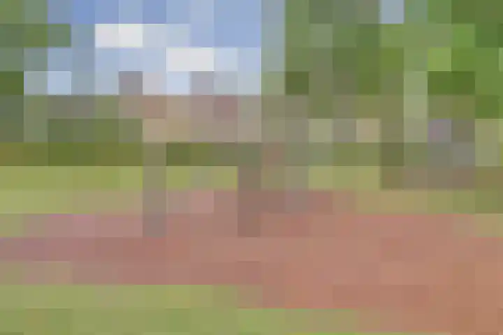 Arianehof 50 Ermelo thumbnail 35