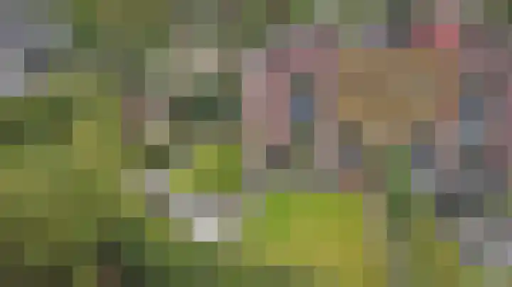 Arianehof 50 Ermelo thumbnail 36